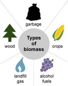 Type of biomass